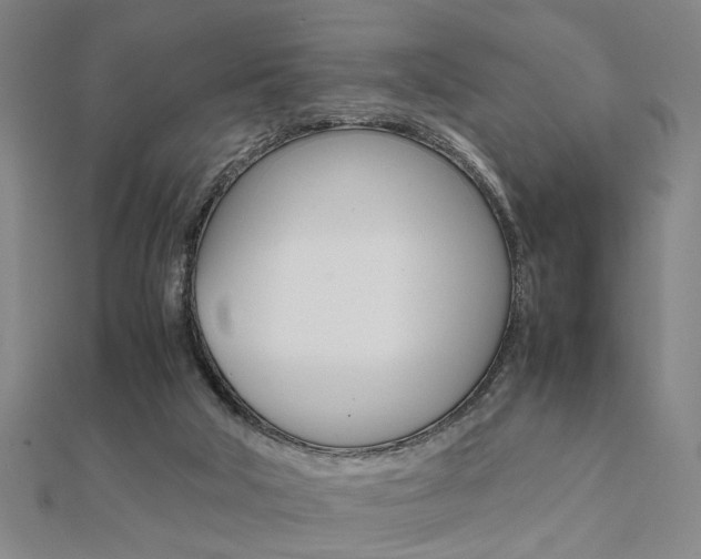 X0000112050018200908040959