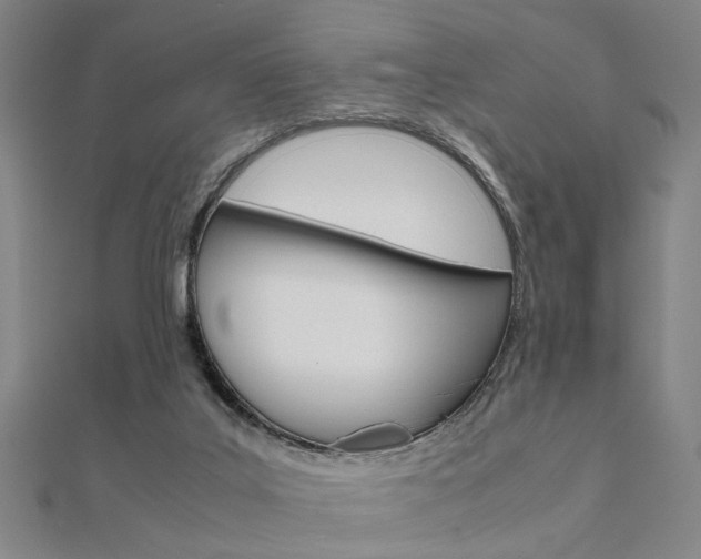 X0000112050019200908040959
