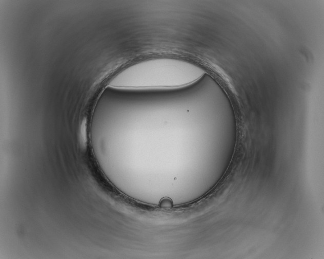 X0000112050020200908040959