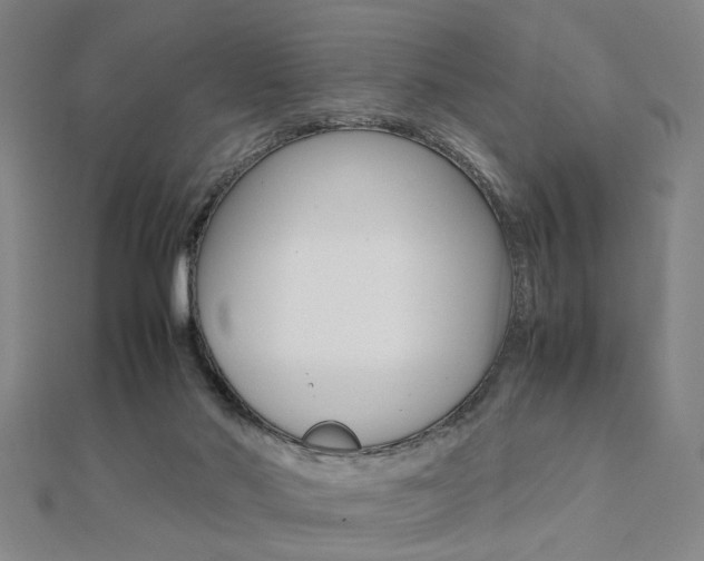 X0000112050022200908040959
