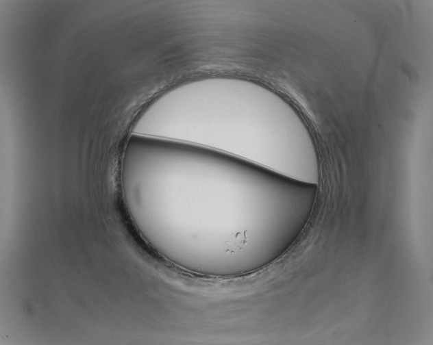 X0000112050023200908040959