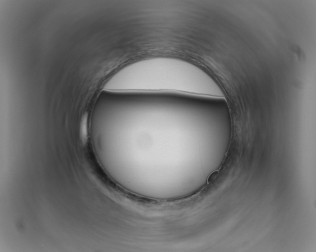 X0000112050028200908040959