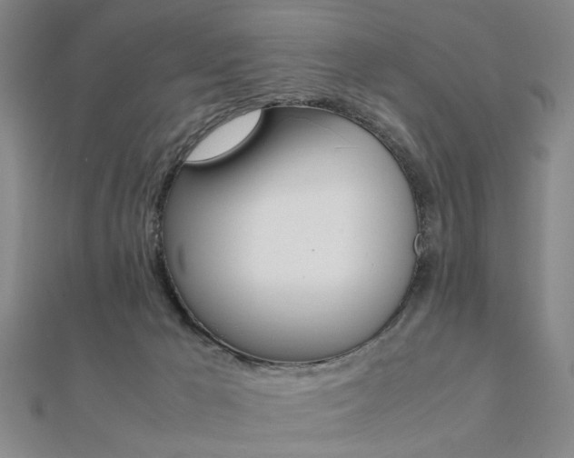 X0000112050029200908040959