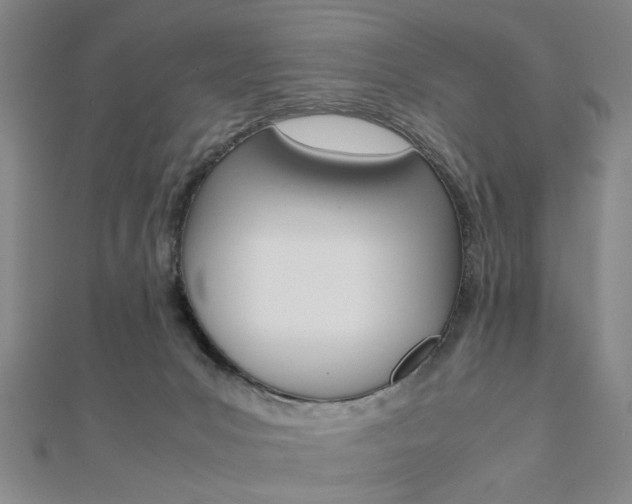 X0000112050031200908040959