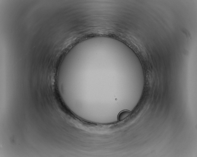 X0000112050032200908040959