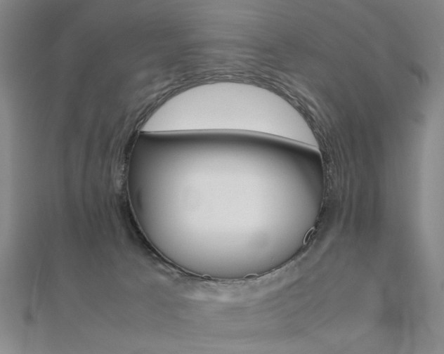 X0000112050033200908040959