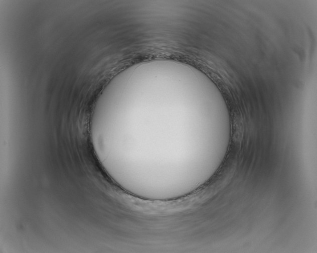 X0000112050034200908040959