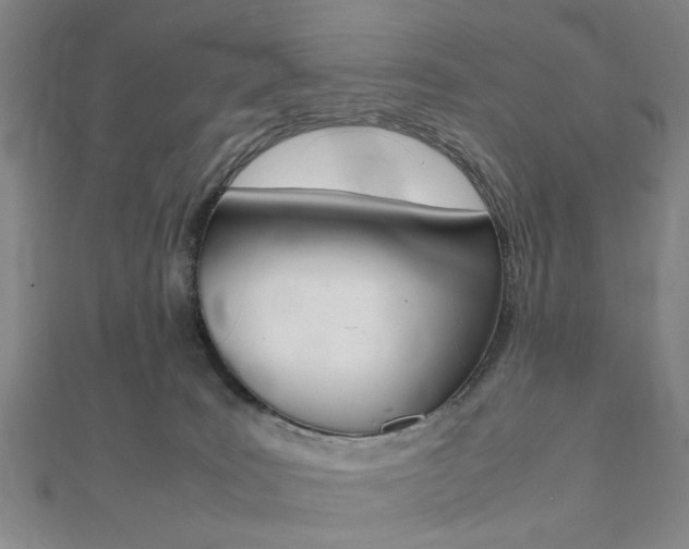 X0000112050035200908040959