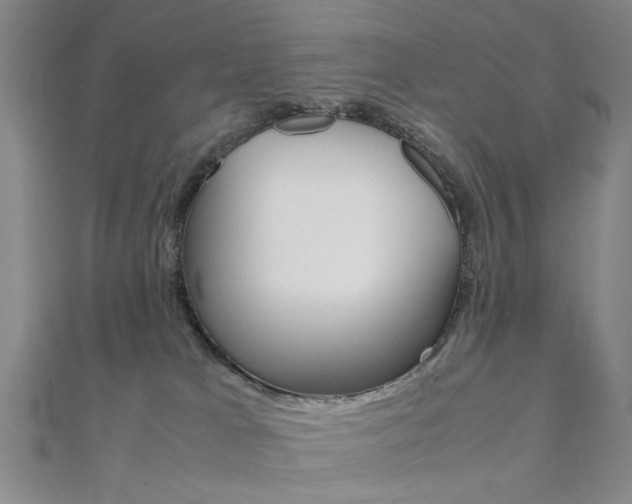 X0000112050037200908040959