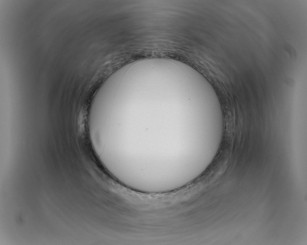 X0000112050038200908040959