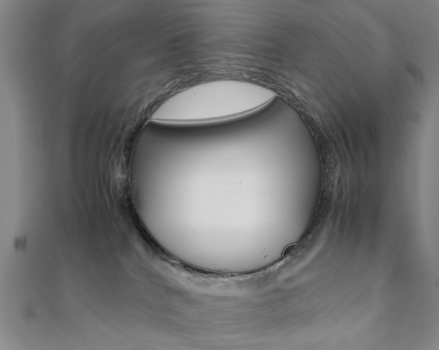 X0000112050040200908040959