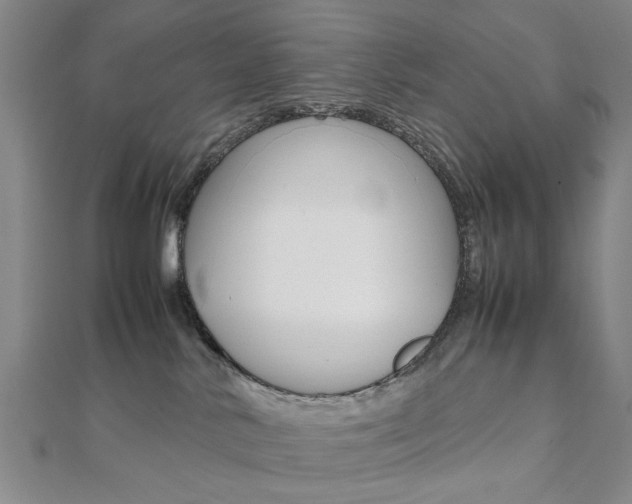 X0000112050042200908040959