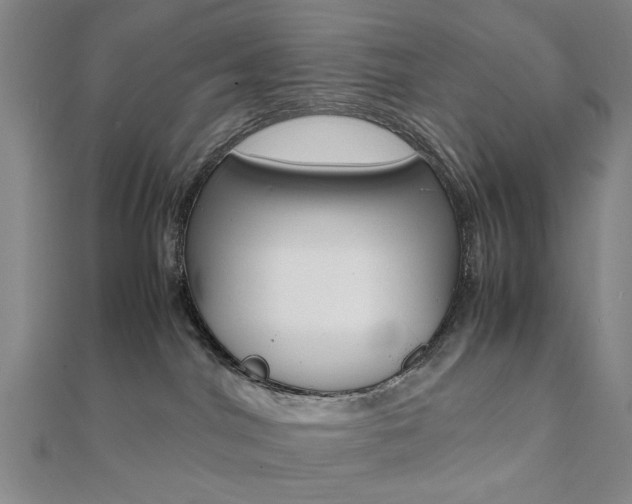 X0000112050044200908040959