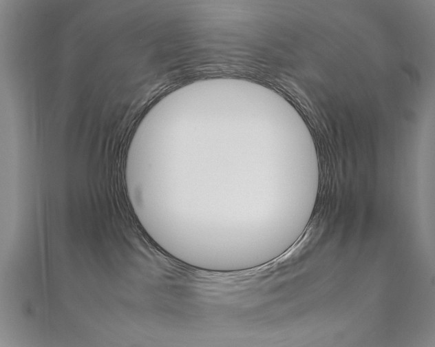 X0000112050045200908040959