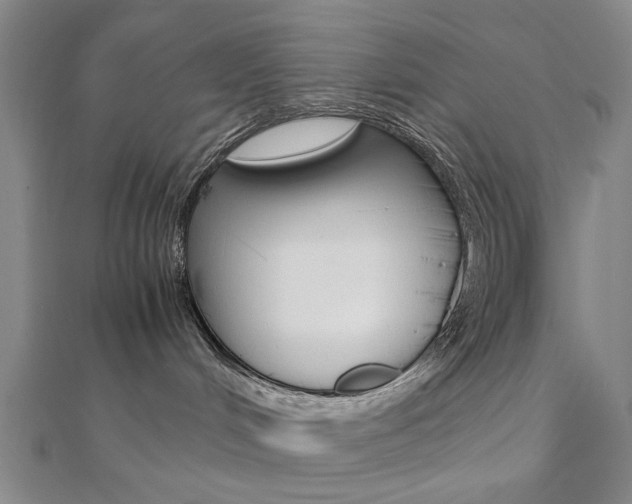X0000112050048200908040959