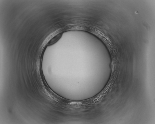 X0000112050051200908040958