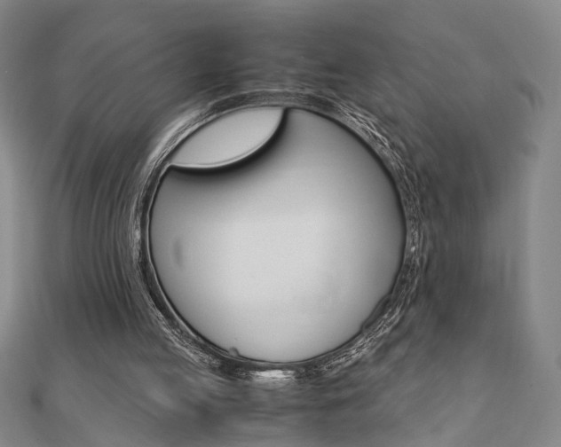 X0000112050053200908040958