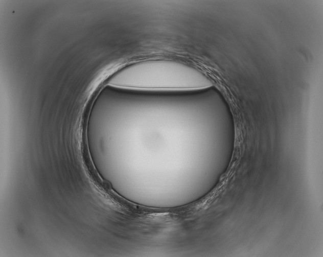 X0000112050054200908040958