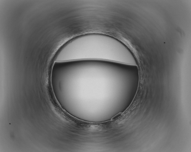 X0000112050060200908040958