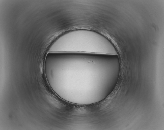 X0000112050062200908040958