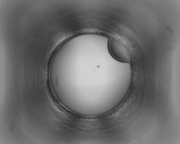 X0000112050063200908040958