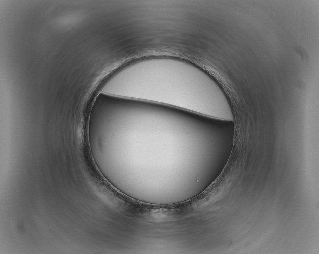 X0000112050064200908040958