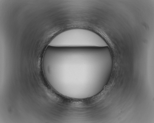 X0000112050066200908040958