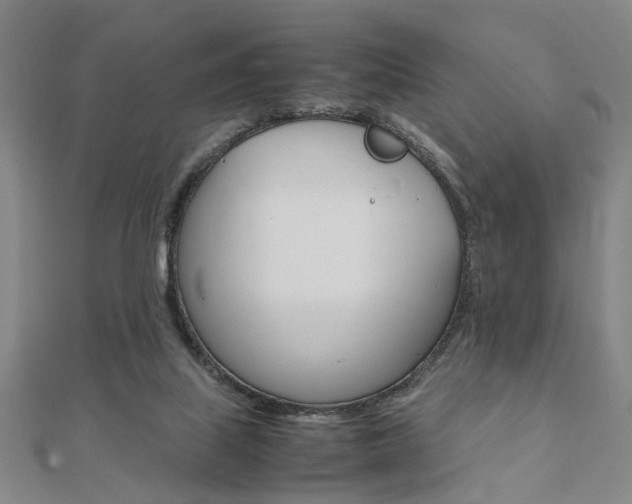 X0000112050067200908040958
