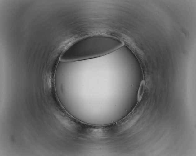 X0000112050068200908040958