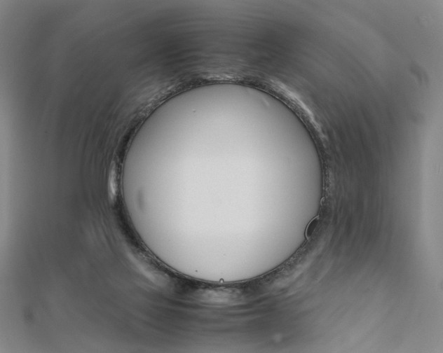 X0000112050069200908040958
