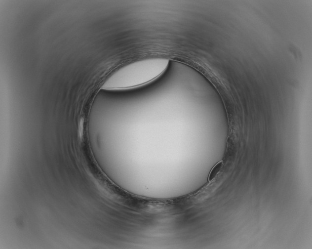 X0000112050070200908040958