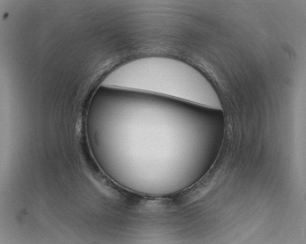 X0000112050072200908040958