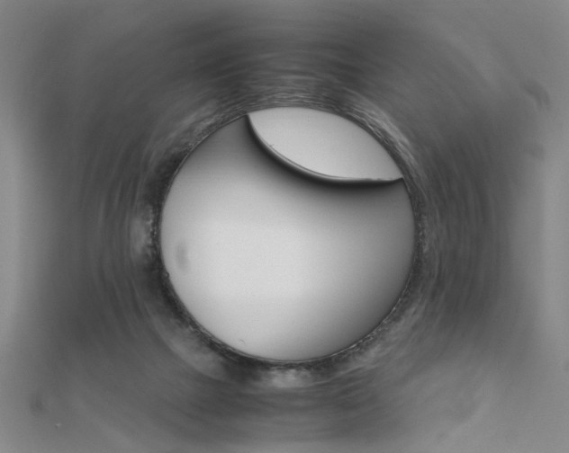 X0000112050073200908040958