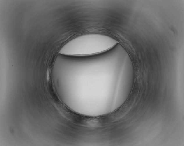 X0000112050075200908040958