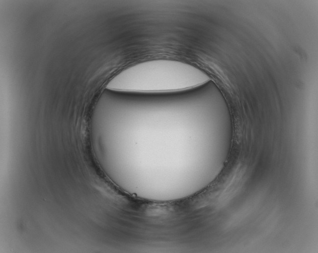 X0000112050077200908040958