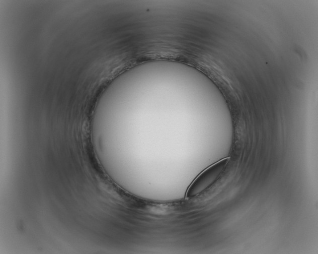 X0000112050079200908040959