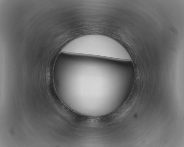 X0000112050080200908040959