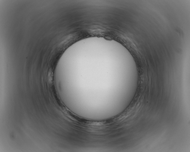 X0000112050081200908040959