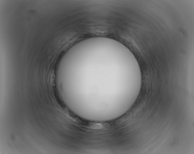 X0000112050083200908040959
