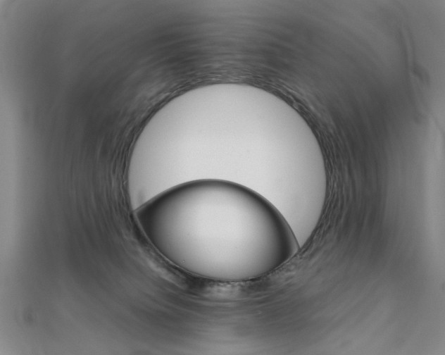 X0000112050084200908040959