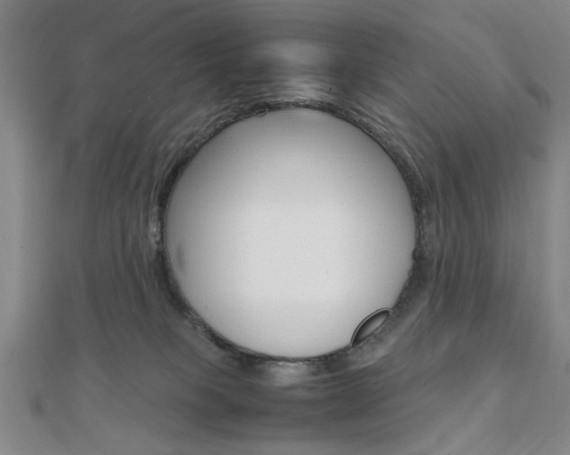 X0000112050085200908040959