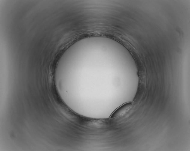 X0000112050086200908040959
