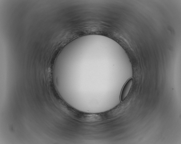 X0000112050087200908040959