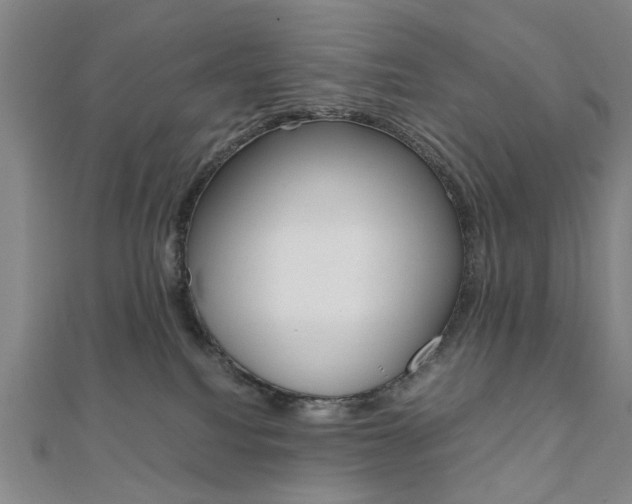X0000112050088200908040959