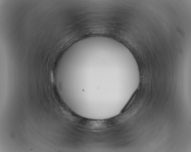 X0000112050089200908040959
