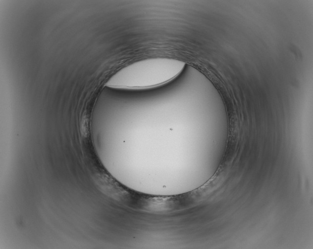 X0000112050090200908040959