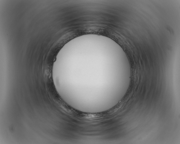 X0000112050091200908040959