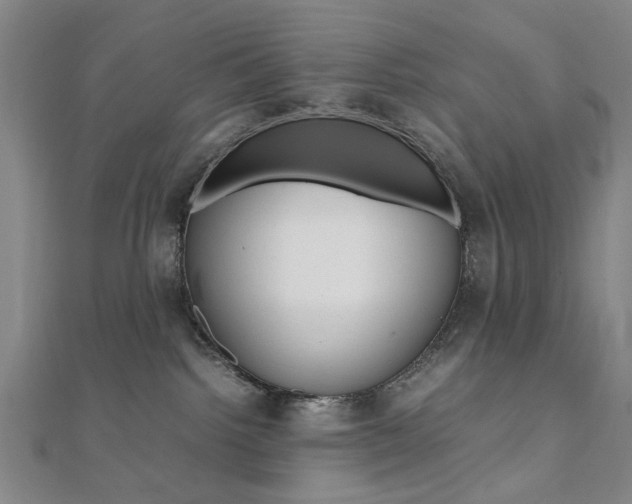 X0000112050092200908040959