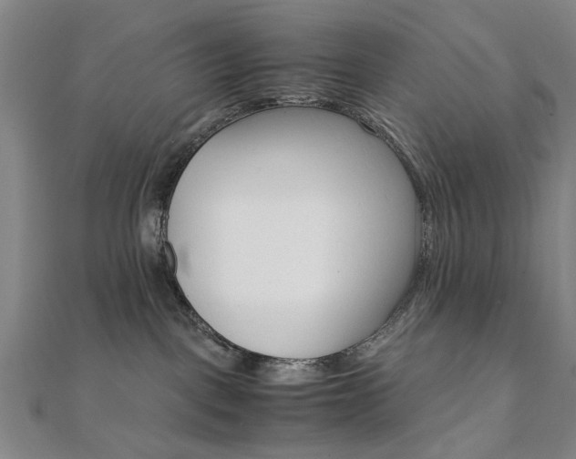 X0000112050093200908040959