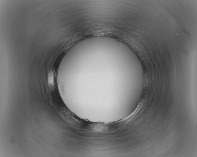 X0000112050094200908040959